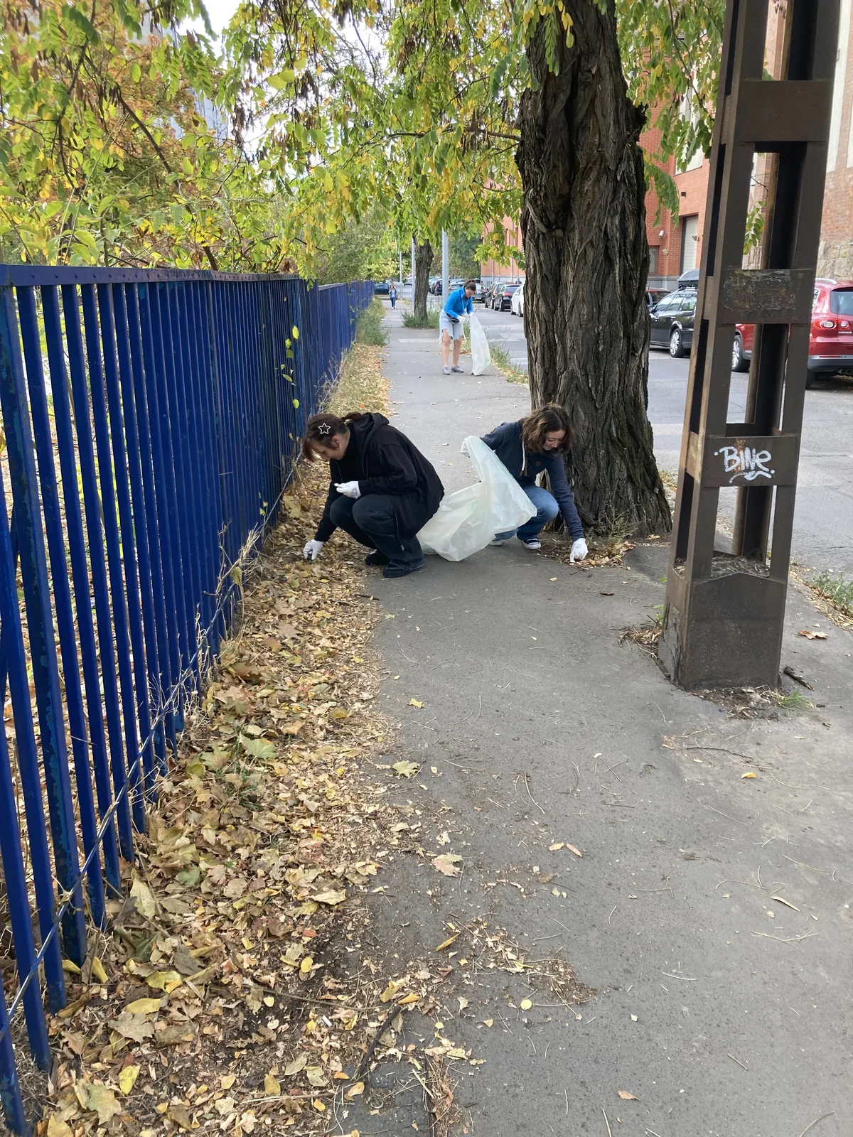 Szemétszedés a járda mentén, a kerítés tövében