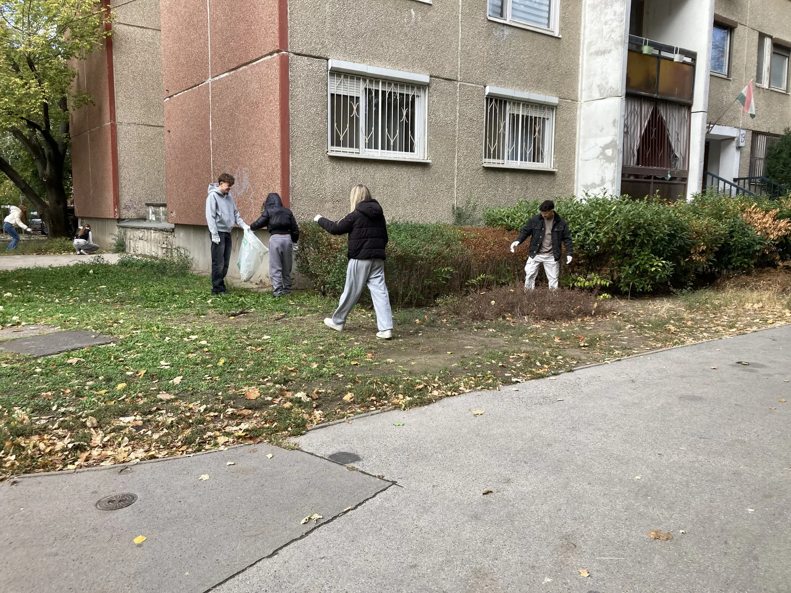Gyűjtés a házak közötti zöldterületen